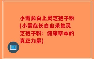 小霞长白上灵芝孢子粉(小霞在长白山采集灵芝孢子粉：健康草本的真正力量)