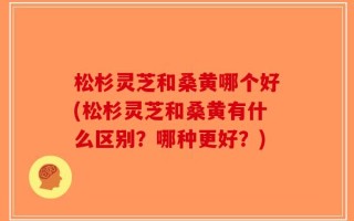 松杉灵芝和桑黄哪个好(松杉灵芝和桑黄有什么区别？哪种更好？)
