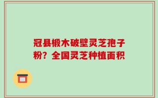 冠县椴木破壁灵芝孢子粉？全国灵芝种植面积