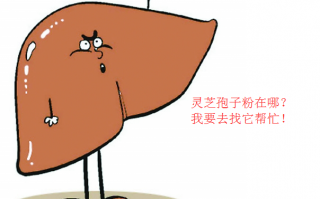 肝癌患者吃灵芝孢子粉有效吗？