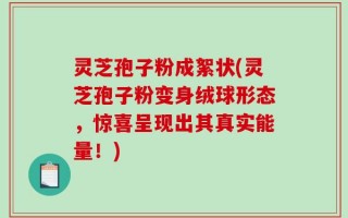 灵芝孢子粉成絮状(灵芝孢子粉变身绒球形态，惊喜呈现出其真实能量！)