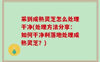 采到成熟灵芝怎么处理干净(处理方法分享：如何干净利落地处理成熟灵芝？)