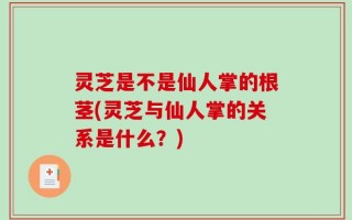灵芝是不是仙人掌的根茎(灵芝与仙人掌的关系是什么？)