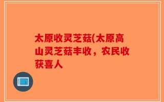 太原收灵芝菇(太原高山灵芝菇丰收，农民收获喜人