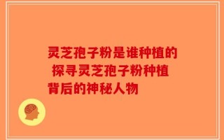 灵芝孢子粉是谁种植的 探寻灵芝孢子粉种植背后的神秘人物