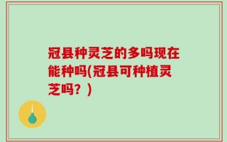 冠县种灵芝的多吗现在能种吗(冠县可种植灵芝吗？)