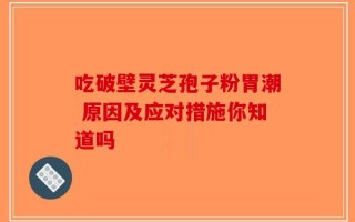 吃破壁灵芝孢子粉胃潮 原因及应对措施你知道吗