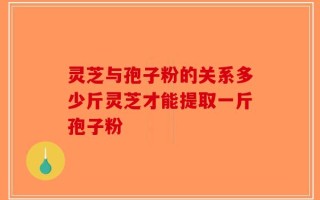 灵芝与孢子粉的关系多少斤灵芝才能提取一斤孢子粉