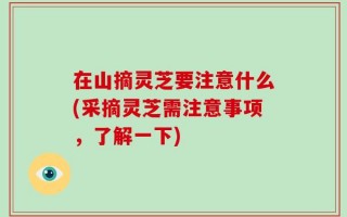 在山摘灵芝要注意什么(采摘灵芝需注意事项，了解一下)