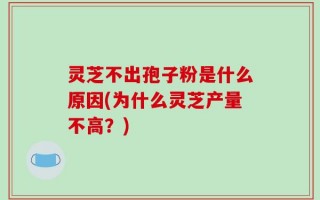 灵芝不出孢子粉是什么原因(为什么灵芝产量不高？)