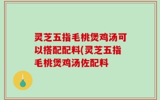 灵芝五指毛桃煲鸡汤可以搭配配料(灵芝五指毛桃煲鸡汤佐配料