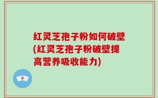 红灵芝孢子粉如何破壁(红灵芝孢子粉破壁提高营养吸收能力)
