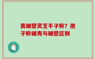 离破壁灵芝不子粉？孢子粉破壳与破壁区别