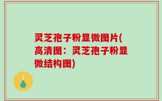 灵芝孢子粉显微图片(高清图：灵芝孢子粉显微结构图)