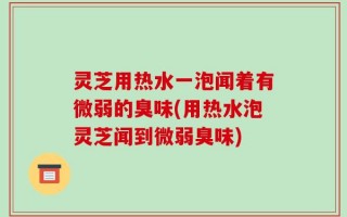 灵芝用热水一泡闻着有微弱的臭味(用热水泡灵芝闻到微弱臭味)