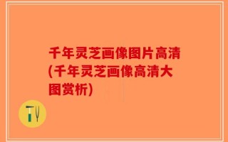 千年灵芝画像图片高清(千年灵芝画像高清大图赏析)