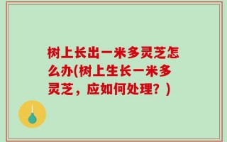 树上长出一米多灵芝怎么办(树上生长一米多灵芝，应如何处理？)