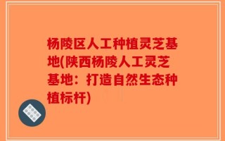 杨陵区人工种植灵芝基地(陕西杨陵人工灵芝基地：打造自然生态种植标杆)