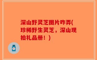 深山野灵芝图片咋弄(珍稀野生灵芝，深山现拍礼品册！)
