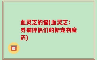 血灵芝的猫(血灵芝：养猫伴侣们的新宠物魔药)