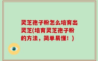 灵芝孢子粉怎么培育出灵芝(培育灵芝孢子粉的方法，简单易懂！)