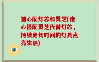 猪心配灯芯和灵芝(猪心搭配灵芝代替灯芯，持续更长时间的灯具点亮生活)
