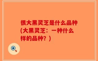 很大黑灵芝是什么品种(大黑灵芝：一种什么样的品种？)