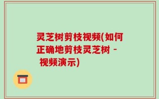 灵芝树剪枝视频(如何正确地剪枝灵芝树 - 视频演示)