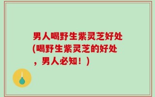 男人喝野生紫灵芝好处(喝野生紫灵芝的好处，男人必知！)