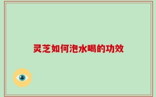 灵芝如何泡水喝的功效