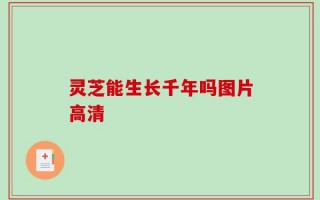 灵芝能生长千年吗图片高清