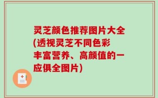 灵芝颜色推荐图片大全(透视灵芝不同色彩 丰富营养、高颜值的一应俱全图片)