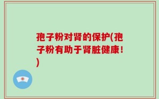 孢子粉对肾的保护(孢子粉有助于肾脏健康！)
