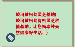 蛟河黄松甸灵芝基地(蛟河黄松甸有机灵芝种植基地，让您畅享纯天然健康好生活！)