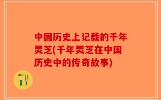 中国历史上记载的千年灵芝(千年灵芝在中国历史中的传奇故事)