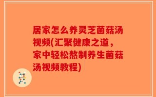 居家怎么养灵芝菌菇汤视频(汇聚健康之道，家中轻松熬制养生菌菇汤视频教程)