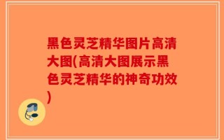 黑色灵芝精华图片高清大图(高清大图展示黑色灵芝精华的神奇功效)