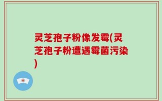 灵芝孢子粉像发霉(灵芝孢子粉遭遇霉菌污染)