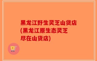 黑龙江野生灵芝山货店(黑龙江原生态灵芝 尽在山货店)