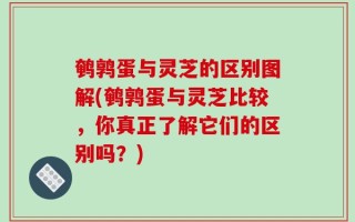 鹌鹑蛋与灵芝的区别图解(鹌鹑蛋与灵芝比较，你真正了解它们的区别吗？)