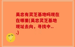 吴忠有灵芝基地吗现在在哪里(吴忠灵芝基地现址去向，寻找中...)
