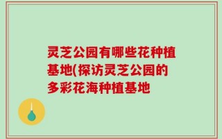 灵芝公园有哪些花种植基地(探访灵芝公园的多彩花海种植基地