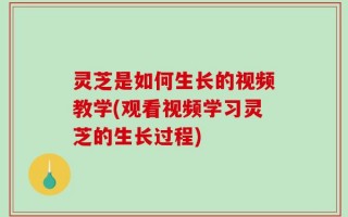 灵芝是如何生长的视频教学(观看视频学习灵芝的生长过程)