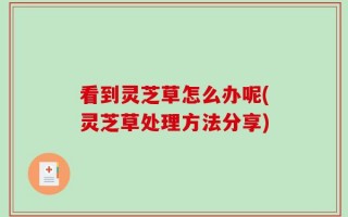 看到灵芝草怎么办呢(灵芝草处理方法分享)