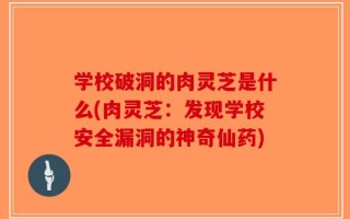 学校破洞的肉灵芝是什么(肉灵芝：发现学校安全漏洞的神奇仙药)