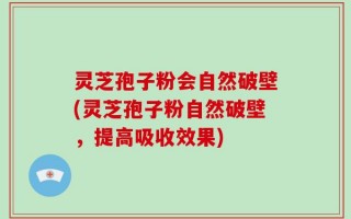 灵芝孢子粉会自然破壁(灵芝孢子粉自然破壁，提高吸收效果)