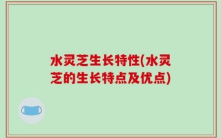 水灵芝生长特性(水灵芝的生长特点及优点)