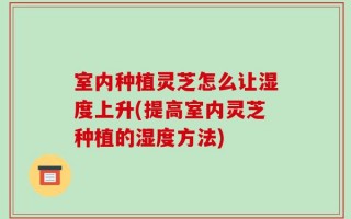 室内种植灵芝怎么让湿度上升(提高室内灵芝种植的湿度方法)