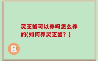 灵芝蟹可以养吗怎么养的(如何养灵芝蟹？)