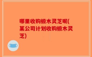 哪里收购椴木灵芝呢(某公司计划收购椴木灵芝)